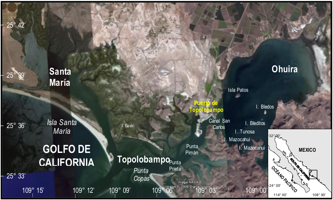 A La Planta De Amoniaco En Topolobampo Informacion A La Comunidad